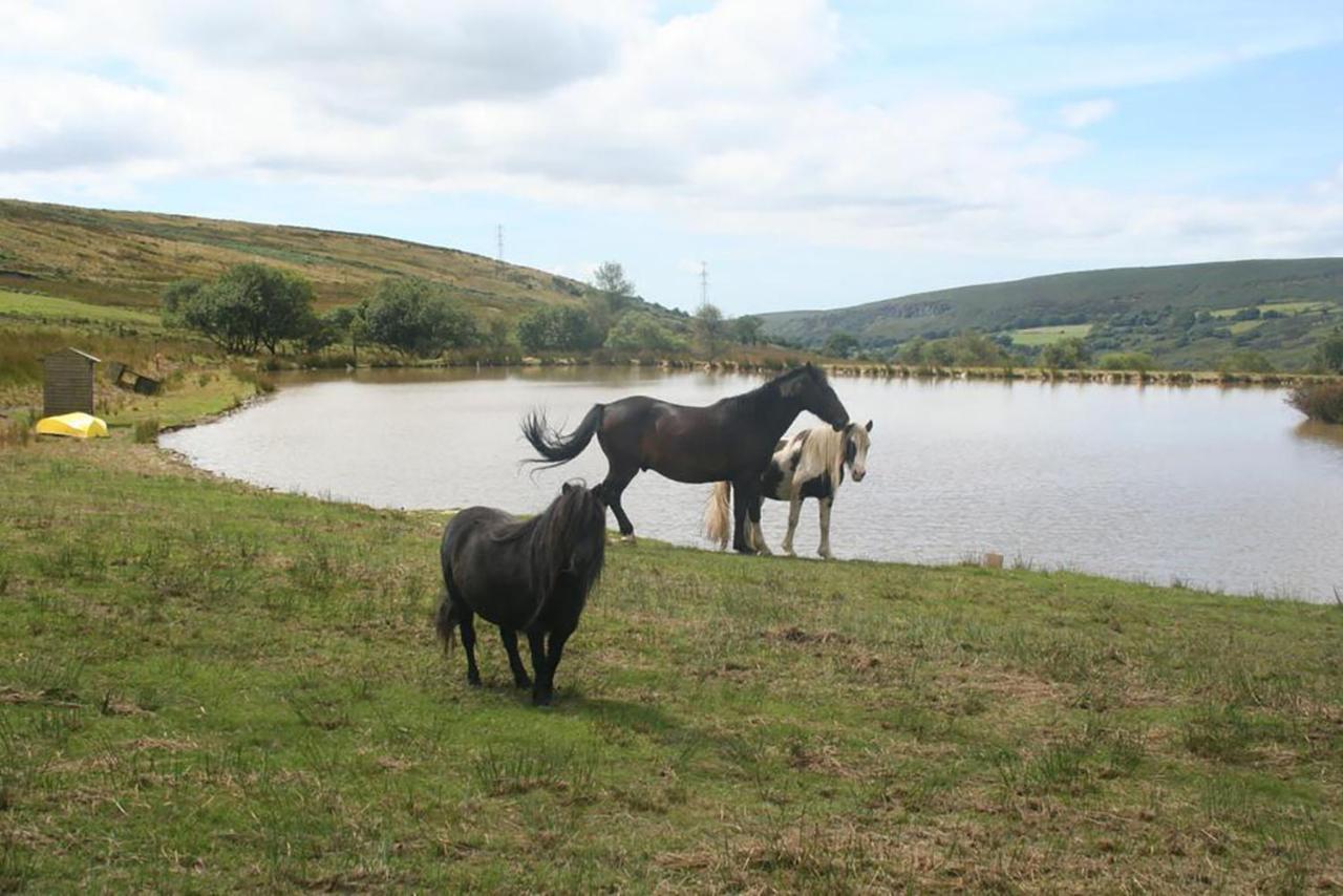 Barn Cottage - Farm Park Stay With Hot Tub Swansea Eksteriør bilde